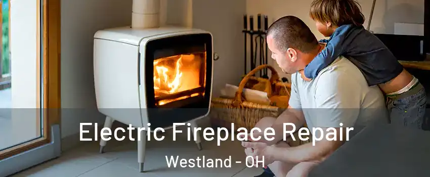 Electric Fireplace Repair Westland - OH