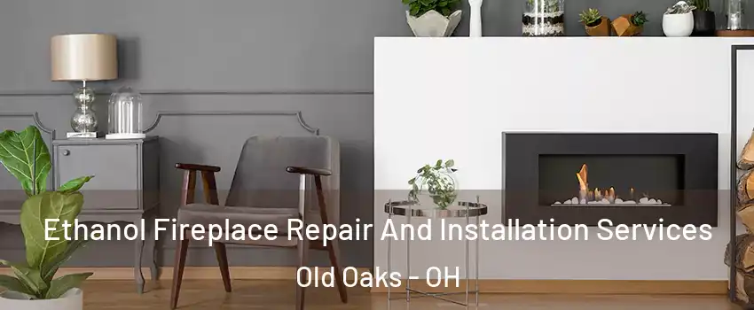 Ethanol Fireplace Repair And Installation Services Old Oaks - OH