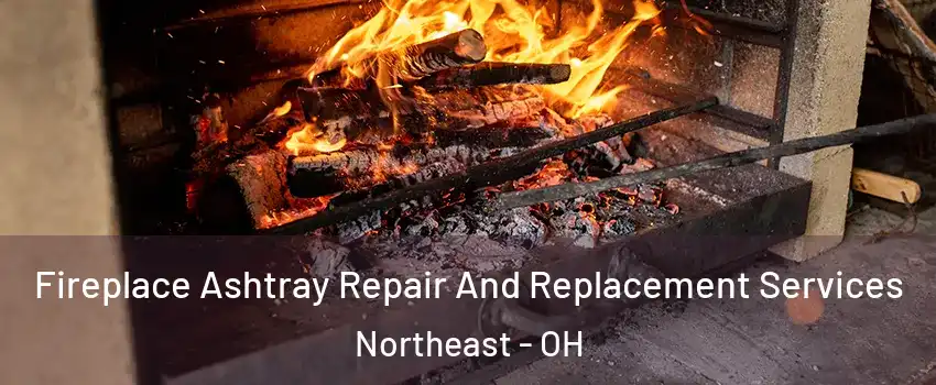 Fireplace Ashtray Repair And Replacement Services Northeast - OH