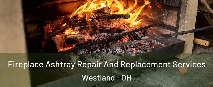 Fireplace Ashtray Repair And Replacement Services Westland - OH