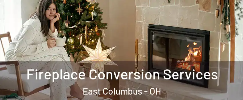 Fireplace Conversion Services East Columbus - OH