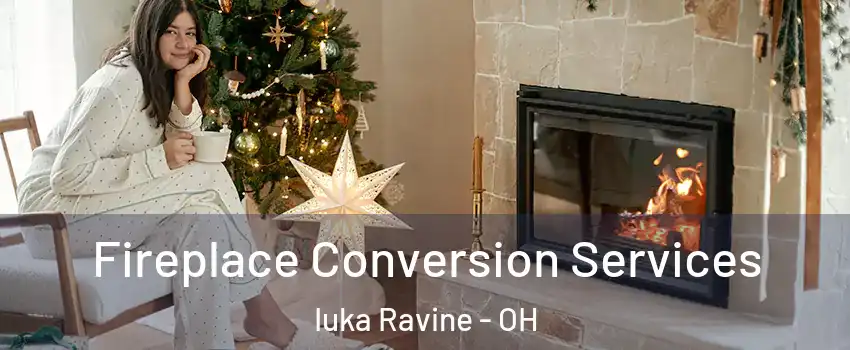 Fireplace Conversion Services Iuka Ravine - OH