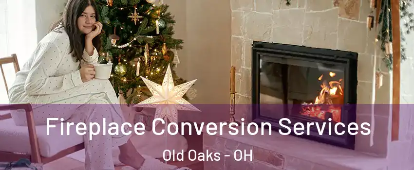 Fireplace Conversion Services Old Oaks - OH