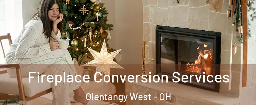 Fireplace Conversion Services Olentangy West - OH