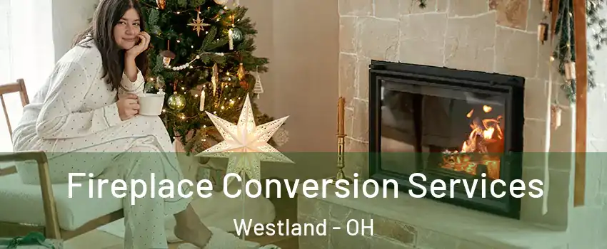 Fireplace Conversion Services Westland - OH