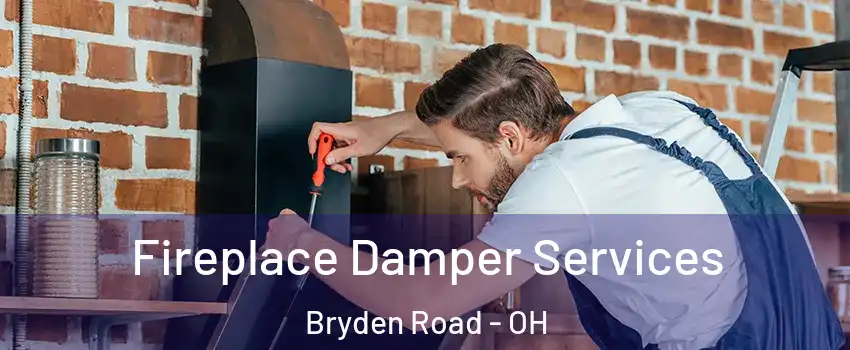 Fireplace Damper Services Bryden Road - OH