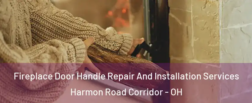 Fireplace Door Handle Repair And Installation Services Harmon Road Corridor - OH