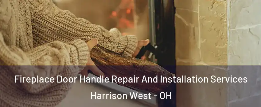 Fireplace Door Handle Repair And Installation Services Harrison West - OH