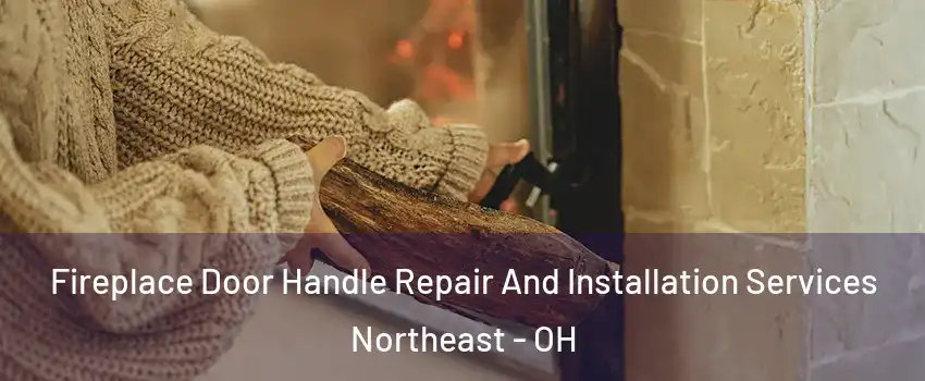 Fireplace Door Handle Repair And Installation Services Northeast - OH