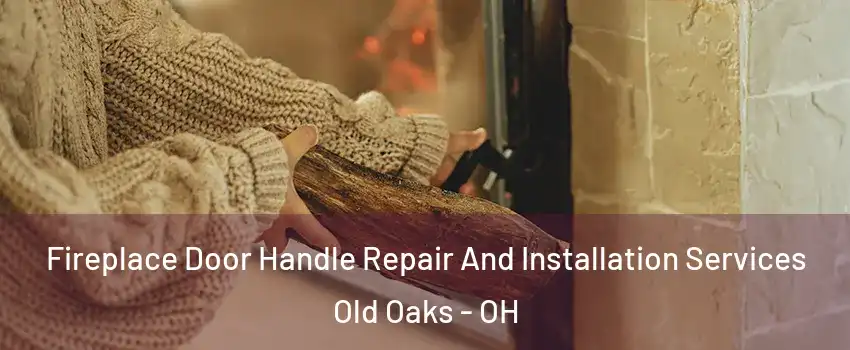 Fireplace Door Handle Repair And Installation Services Old Oaks - OH