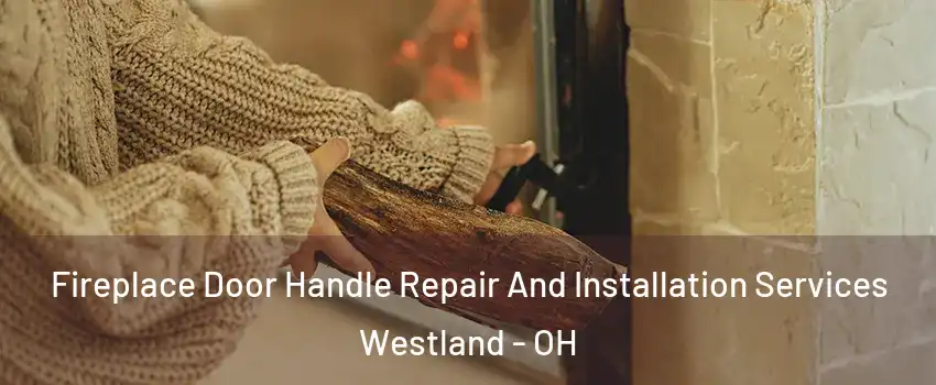 Fireplace Door Handle Repair And Installation Services Westland - OH