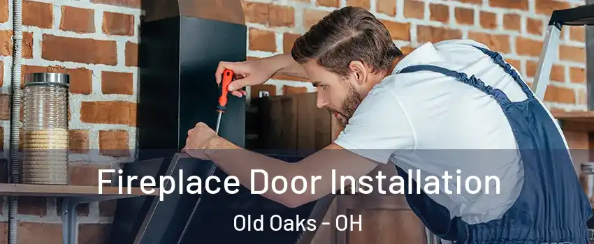 Fireplace Door Installation Old Oaks - OH