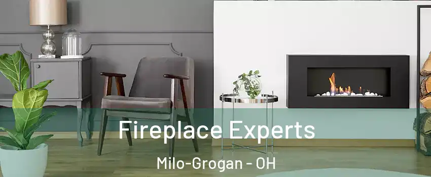 Fireplace Experts Milo-Grogan - OH