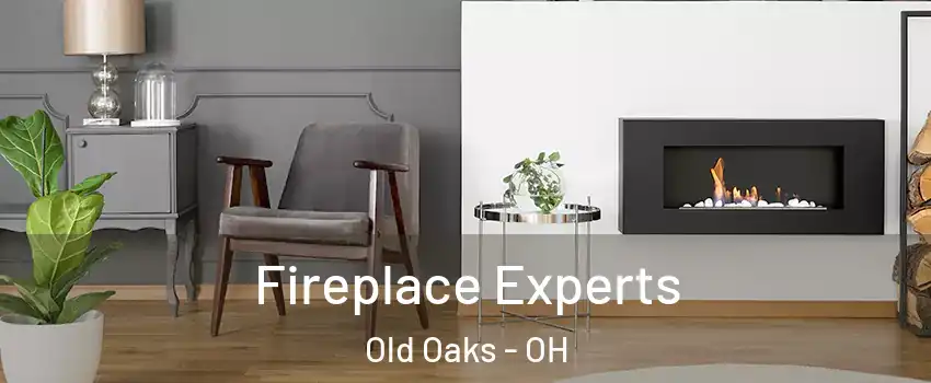 Fireplace Experts Old Oaks - OH