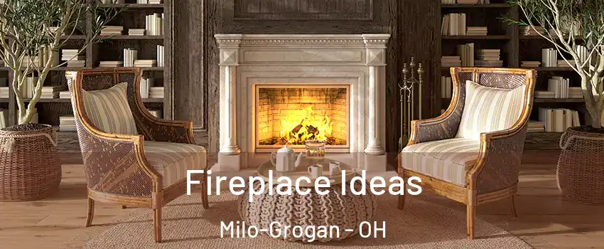 Fireplace Ideas Milo-Grogan - OH