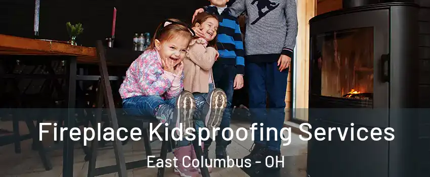 Fireplace Kidsproofing Services East Columbus - OH