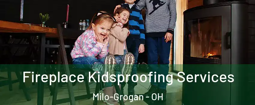 Fireplace Kidsproofing Services Milo-Grogan - OH