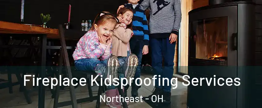 Fireplace Kidsproofing Services Northeast - OH