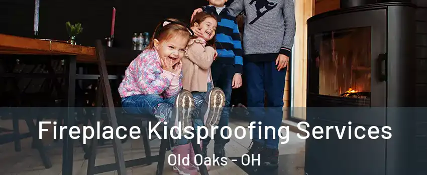 Fireplace Kidsproofing Services Old Oaks - OH