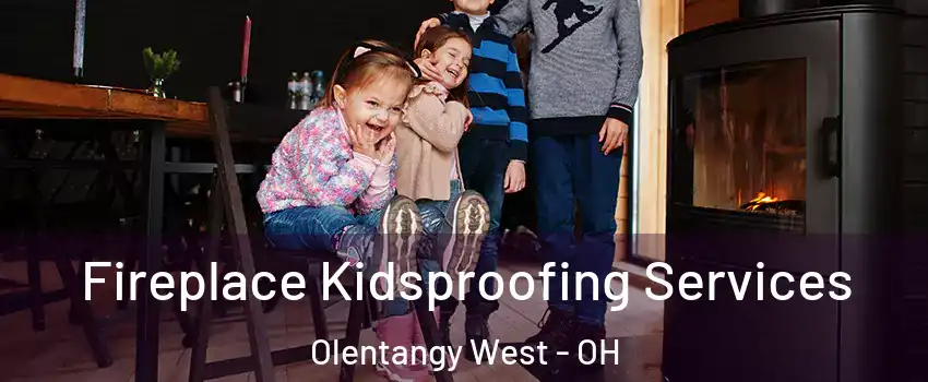 Fireplace Kidsproofing Services Olentangy West - OH