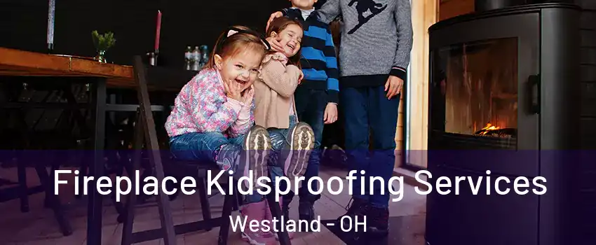 Fireplace Kidsproofing Services Westland - OH