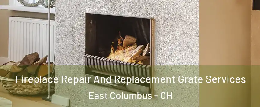 Fireplace Repair And Replacement Grate Services East Columbus - OH