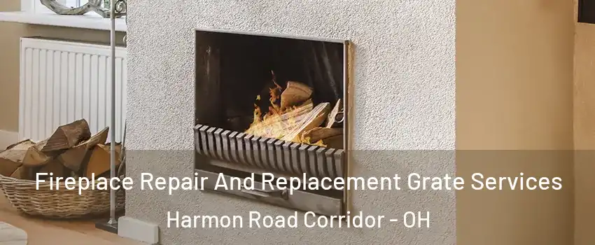 Fireplace Repair And Replacement Grate Services Harmon Road Corridor - OH