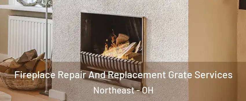 Fireplace Repair And Replacement Grate Services Northeast - OH