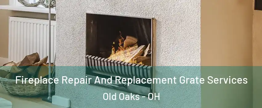 Fireplace Repair And Replacement Grate Services Old Oaks - OH