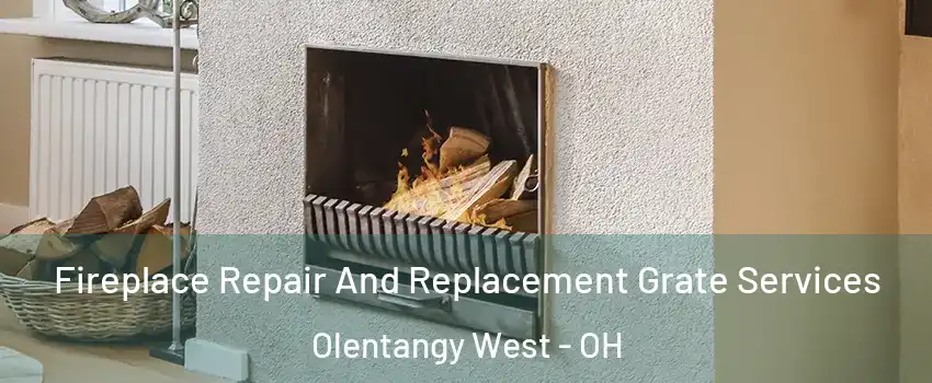 Fireplace Repair And Replacement Grate Services Olentangy West - OH