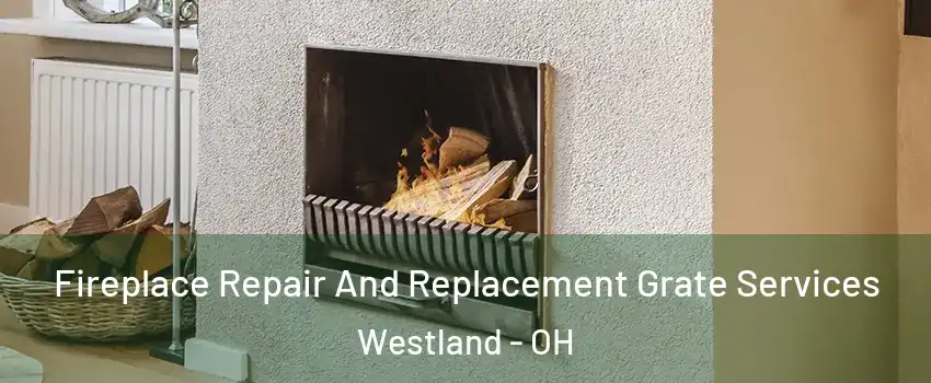 Fireplace Repair And Replacement Grate Services Westland - OH