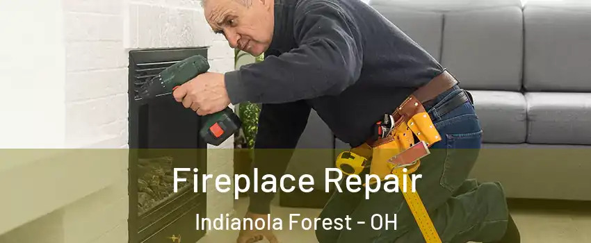 Fireplace Repair Indianola Forest - OH