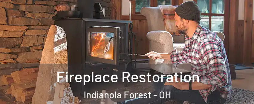 Fireplace Restoration Indianola Forest - OH