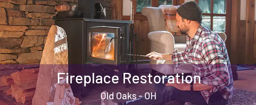 Fireplace Restoration Old Oaks - OH