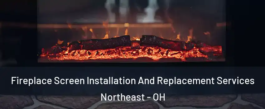 Fireplace Screen Installation And Replacement Services Northeast - OH