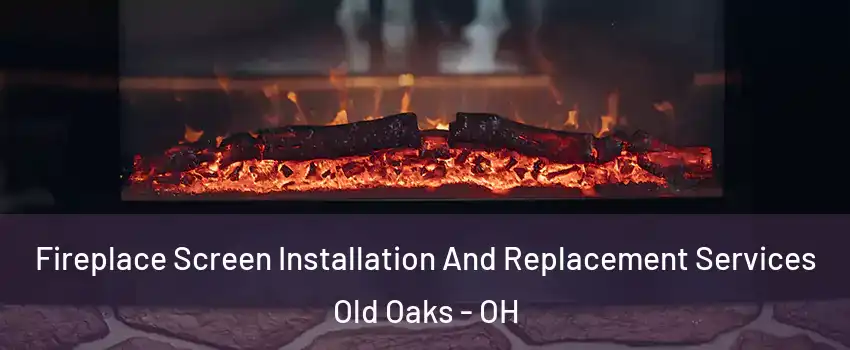 Fireplace Screen Installation And Replacement Services Old Oaks - OH