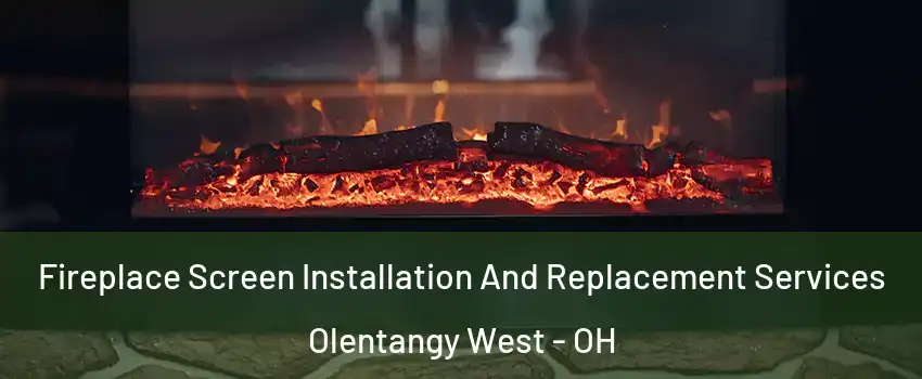 Fireplace Screen Installation And Replacement Services Olentangy West - OH