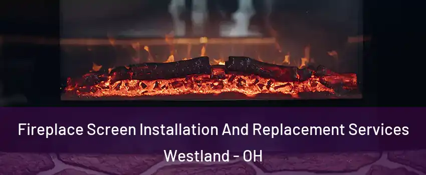 Fireplace Screen Installation And Replacement Services Westland - OH