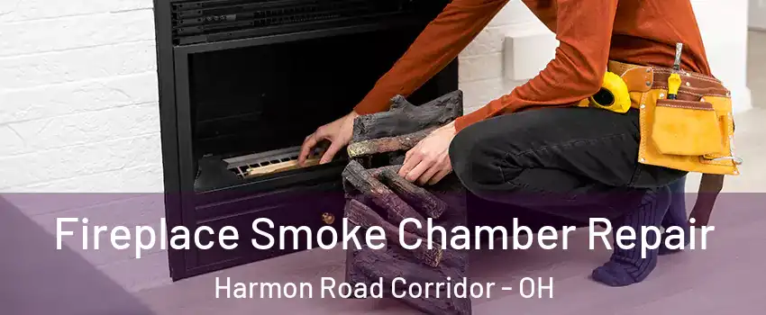 Fireplace Smoke Chamber Repair Harmon Road Corridor - OH