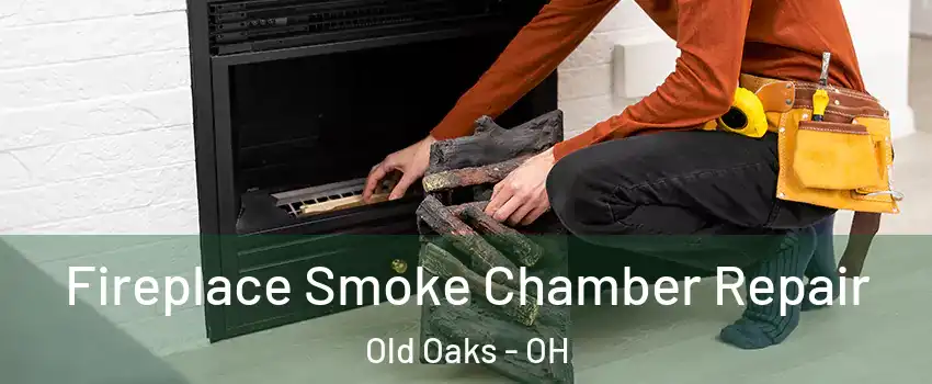 Fireplace Smoke Chamber Repair Old Oaks - OH