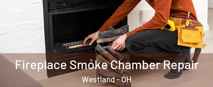 Fireplace Smoke Chamber Repair Westland - OH