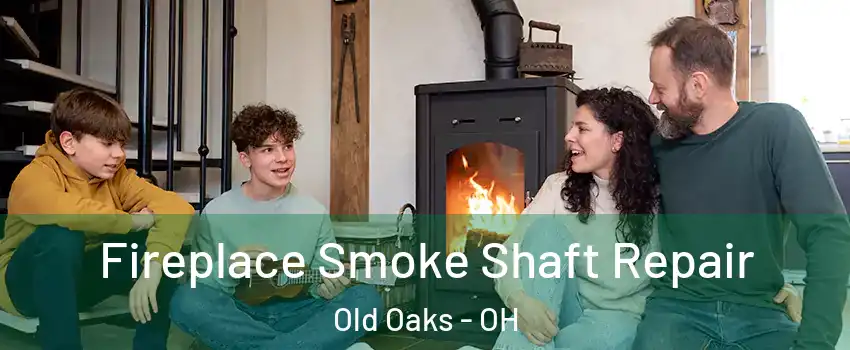 Fireplace Smoke Shaft Repair Old Oaks - OH