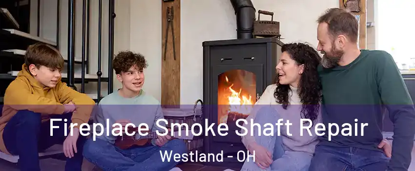 Fireplace Smoke Shaft Repair Westland - OH