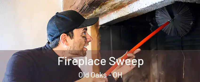 Fireplace Sweep Old Oaks - OH