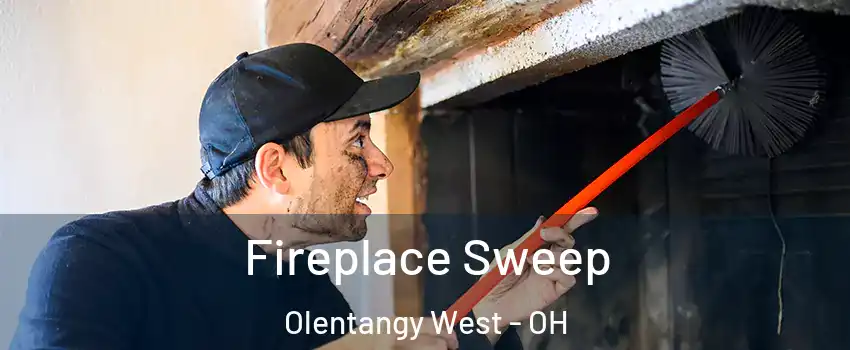 Fireplace Sweep Olentangy West - OH