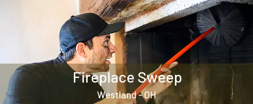 Fireplace Sweep Westland - OH