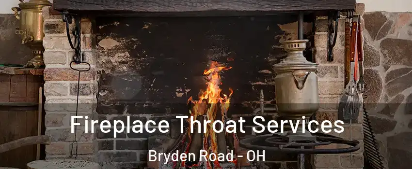 Fireplace Throat Services Bryden Road - OH