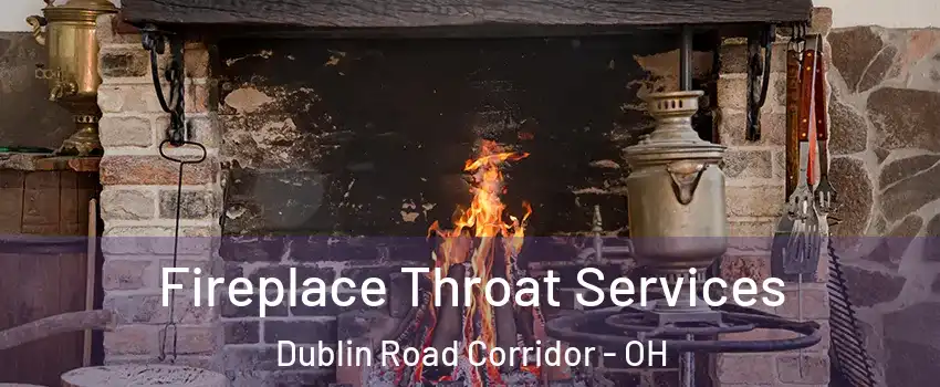 Fireplace Throat Services Dublin Road Corridor - OH