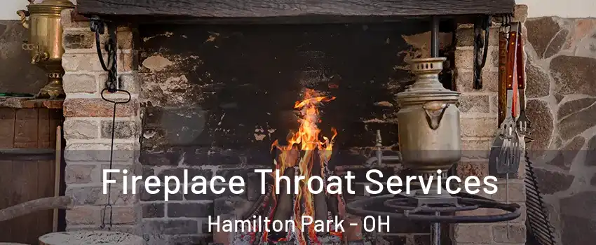 Fireplace Throat Services Hamilton Park - OH