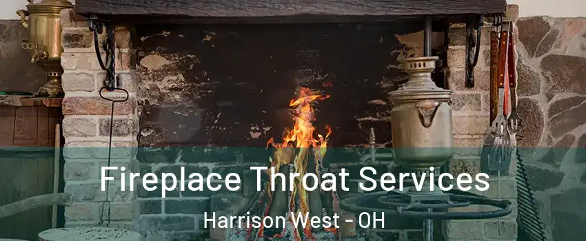 Fireplace Throat Services Harrison West - OH